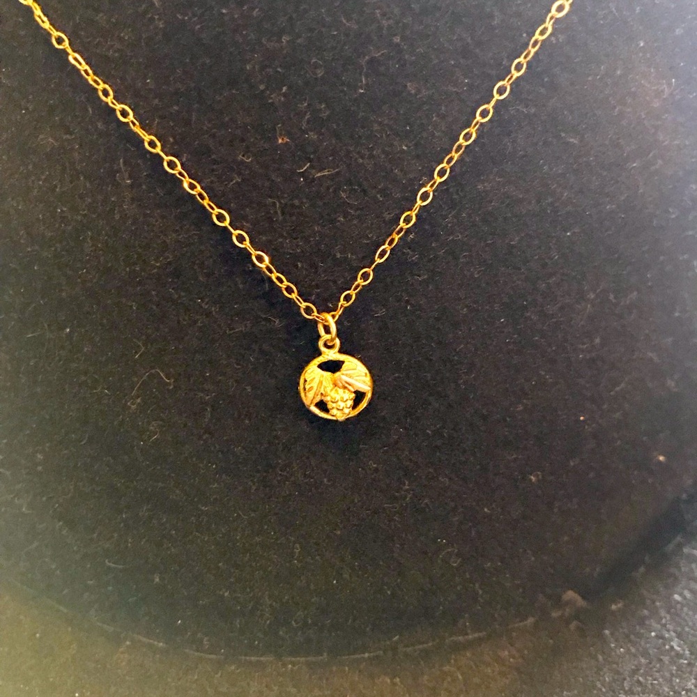 Black hills gold necklace small and length